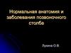 Нормальная анатомия и заболевания позвоночного столба