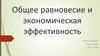 Общее равновесие и экономическая эффективность