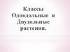 Однодольные и Двудольные растения