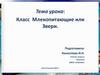 Класс Млекопитающие или Звери