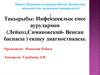 Инфекциялық емес аурулармен (Лейкоз, Симановский - Венсан баспасы ) екшеу диагностикасы