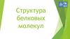 Структура белковых молекул