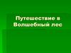 Путешествие в Волшебный лес. Литературное чтение на родном языке