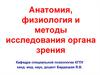 Анатомия, физиология и методы исследования органа зрения