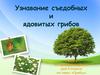 Узнавание съедобных и ядовитых грибов