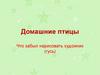 Домашние птицы. Что забыл нарисовать художник (гусь)