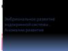 Эмбриональное развитие эндокринной системы. Аномалии развития