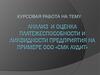 Анализ и оценка платежеспособности и ликвидности предприятия на примере ООО «СМК Аудит»