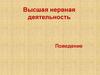 Высшая нервная деятельность