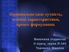 Національна ідея: сутність, основні характеристики, процес формування