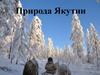 Природа Якутии