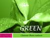 GREEN. Виведення на ринок нового екологічно – чистого продукту