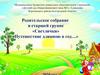 Родительское собрание в старшей группе «Светлячки»