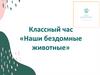 Классный час «Наши бездомные животные»
