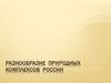 Разнообразие природных комплексов России