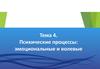 Психические процессы: эмоциональные и волевые