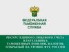 Ресурс Единого лицевого счета плательщика таможенных пошлин, налогов, открытый на уровне ФТС России