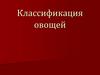 Классификация овощей. 5 класс