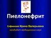 Пиелонефрит. Этиология и патогенез