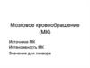 Мозговое кровообращение (МК)