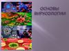Основы вирусологии