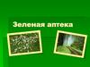 Зеленая аптека