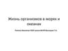 Жизнь организмов в морях и океанах