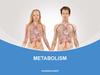 Metabolism. Factors affecting the metabolism