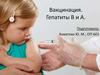Вакцинация. Гепатиты В и А