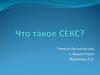 Что такое СЕКС?