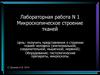 Микроскопическое строение тканей