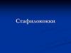Стафилококки.Таксономия