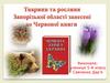 Тварини та рослини Запорізької області, занесені до Червоної книги