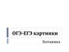 Органы растений. ОГЭ - ЕГЭ картинки