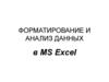 Форматирование и анализ данных в MS Excel