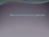 Экологические риски. Сущность экологических рисков