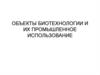 Объекты биотехнологии и их промышленное использование