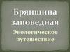 Брянщина заповедная. Экологическое путешествие
