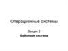 Файловая система. Операционные системы. Лекция 3