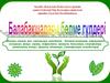 Ақтөбе облыстық білім алуға ерекше қажеттіліктері бар балаларға арналған арнайы (түзетім) балабақшасы