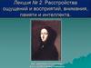 Расстройства ощущений и восприятий, внимания, памяти и интеллекта