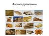 Физика древесины