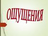 Ощущения