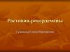Растения-рекордсмены