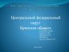 Центральный федеральный округ. Брянская область
