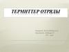 Термиттер отряды