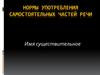 Нормы употребления самостоятельных частей речи. Имя существительное