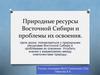 Природные ресурсы Восточной Сибири и проблемы их освоения