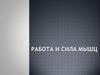 Работа и сила мышц. Строение сократительного аппарата поперечно-полосатой мышечной ткани