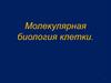 Молекулярная биология клетки